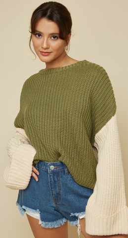 OLIVE BRANCH SWEATER TOP