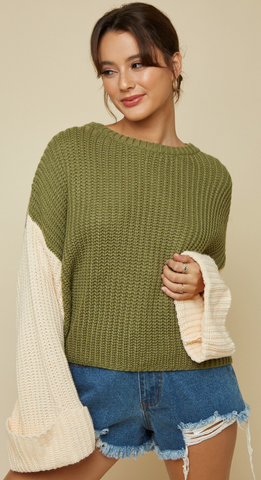 OLIVE BRANCH SWEATER TOP